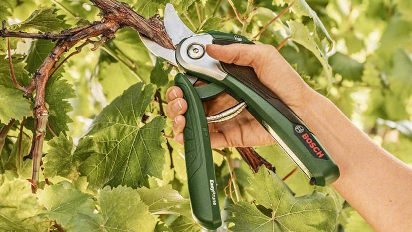 Immagine di Migliori forbici da potatura (aprile 2026)