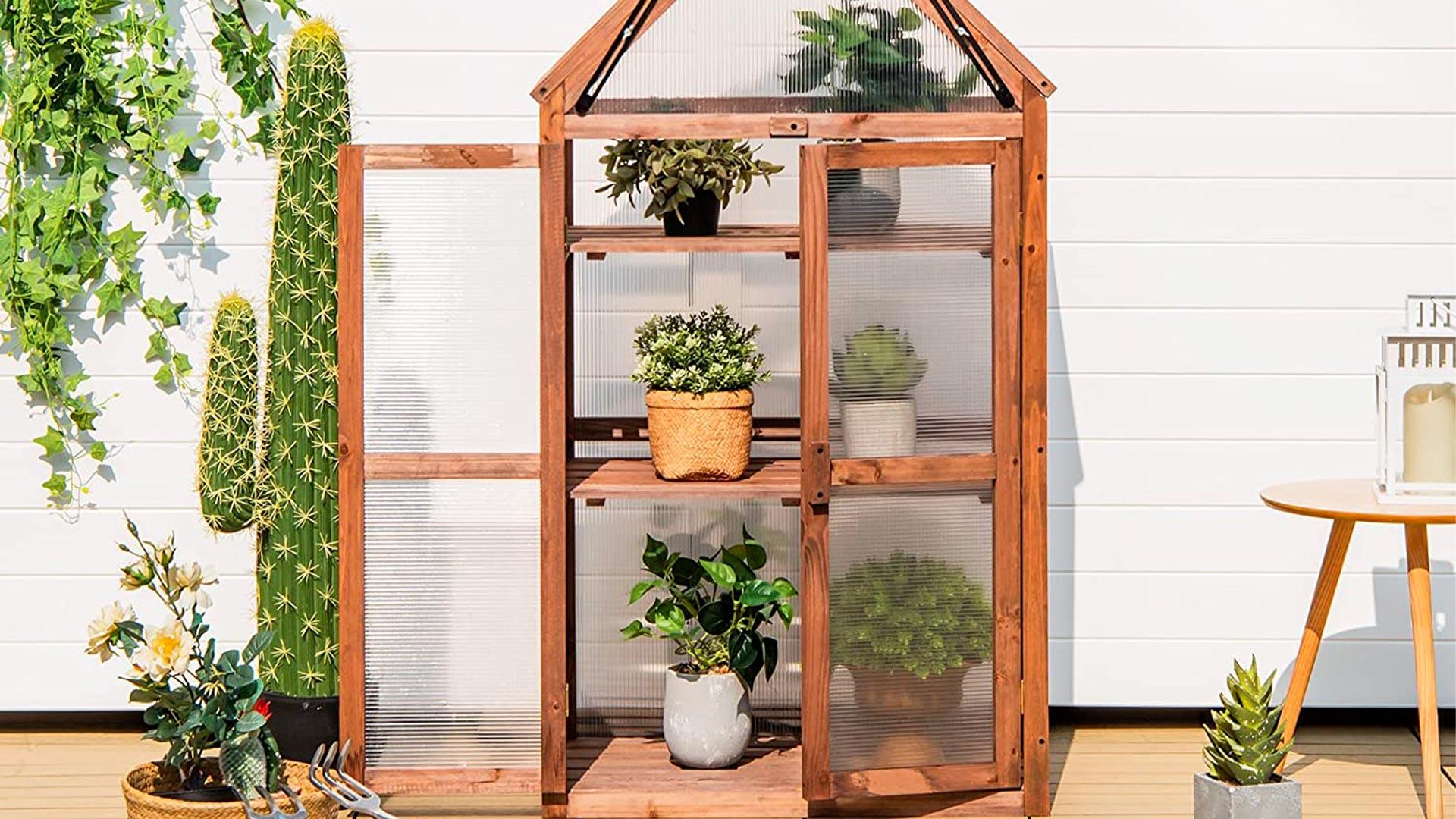 Immagine di Migliori serre da balcone (aprile 2026)