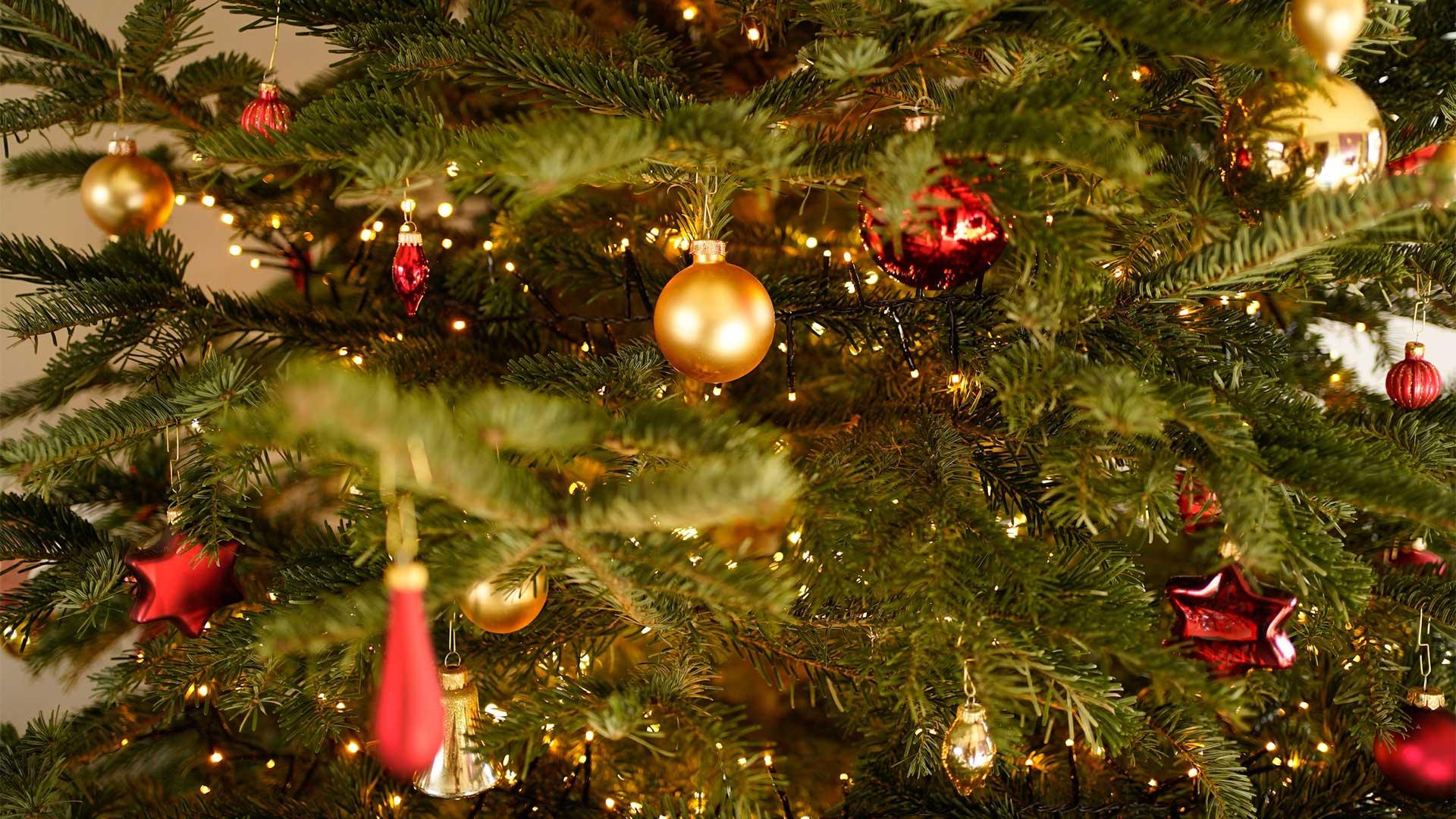 Immagine di Migliori alberi di Natale (settembre 2025)