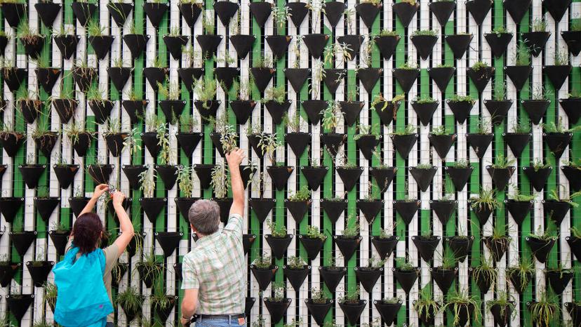 Immagine di Migliori orti verticali (aprile 2026)