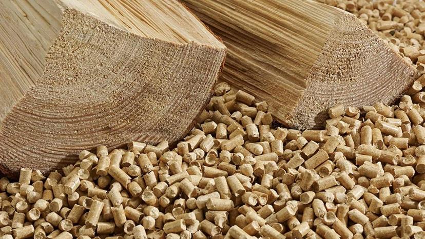 Immagine di Migliori pellet (aprile 2026)