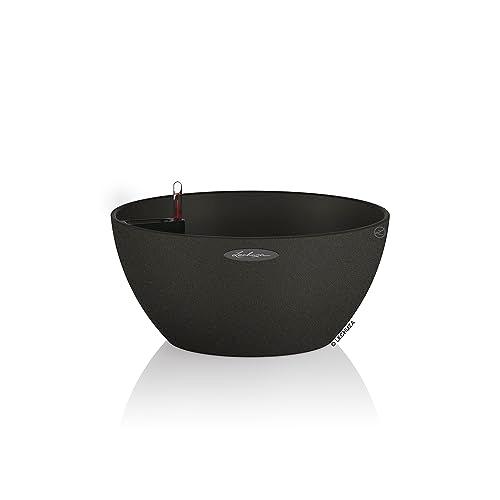 Lechuza Spring Sales 2026