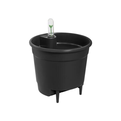 Attrezzi da giardino e attrezzature per l'irrigazione