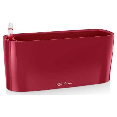 Lechuza Spring Sales 2026