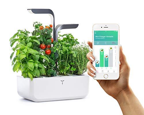 Véritable® Connect - Orto da Interni, Fabbricato in Francia, Giardino autonomo Intelligente, consegnato con 4 Lingots® (Infinity Grey)